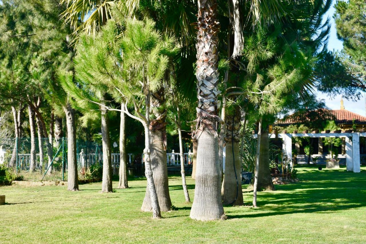 Casa de Férias Miranda